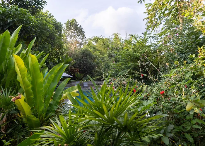Resort Uma Capung Mas Ubud