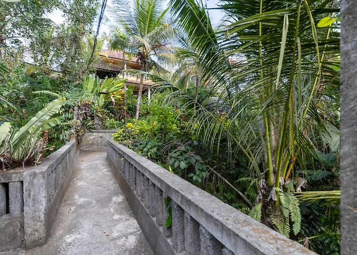 Uma Capung Mas Ubud