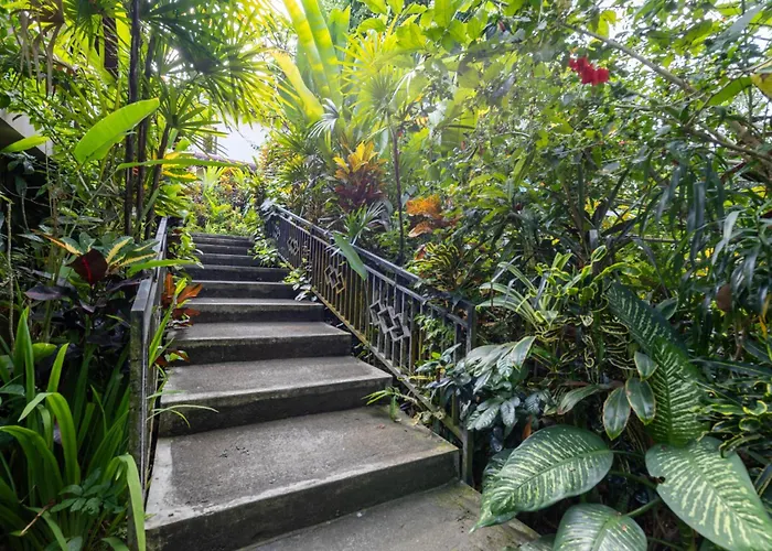 Uma Capung Mas 2* Ubud